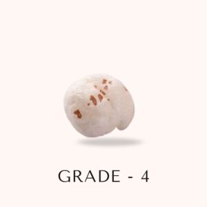 Premium Makhana – Grade 4 (15.8+ mm, Medium Large) - Image 2
