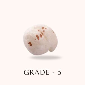 Premium Makhana – Grade 5 (17.5+ mm, Large) - Image 2