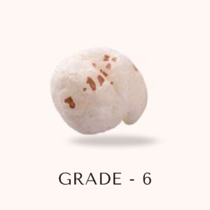 Premium Makhana – Grade 6 (19+ mm, Super Large) - Image 2