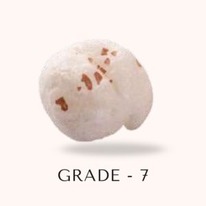 Premium Makhana – Grade 7 (21+ mm, Jumbo Royal) - Image 2